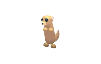 Meerkat
