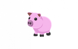 Pig