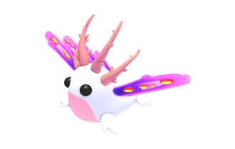 Sea Slug