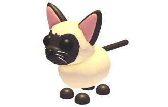 Siamese Cat