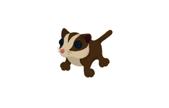 Sugar Glider